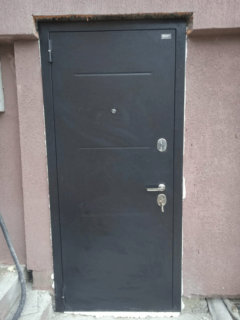 Входная дверь Лайн
